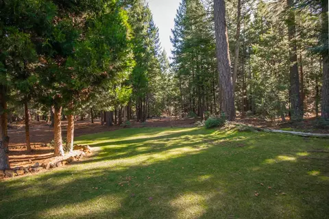 8355 Lost Mill Rd, Shingletown, CA 96088 photo 16