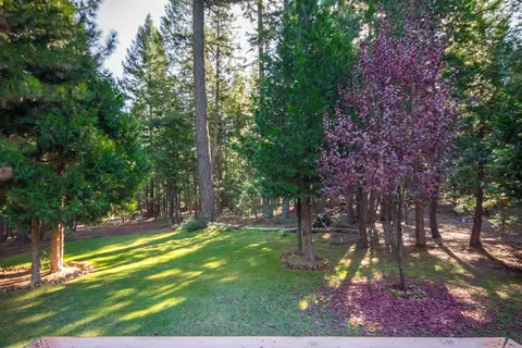 8355 Lost Mill Rd, Shingletown, CA 96088 photo 15