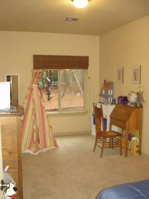 32670 Twin Pine Dr, Shingletown, CA 96088 photo 38