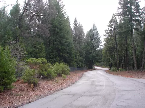 32670 Twin Pine Dr, Shingletown, CA 96088 photo 54