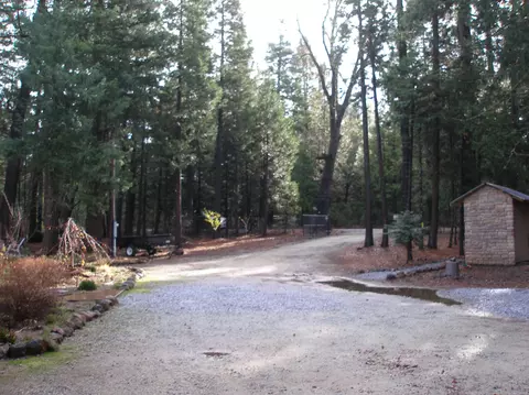 32670 Twin Pine Dr, Shingletown, CA 96088 photo 44