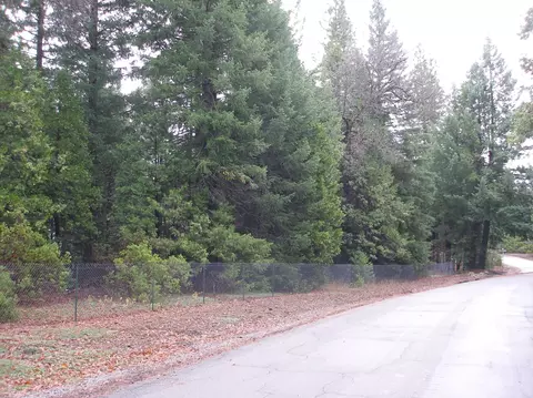 32670 Twin Pine Dr, Shingletown, CA 96088 photo 55