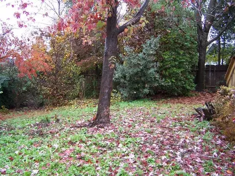 1842 Marlene Ave, Redding, CA 96002 photo 20