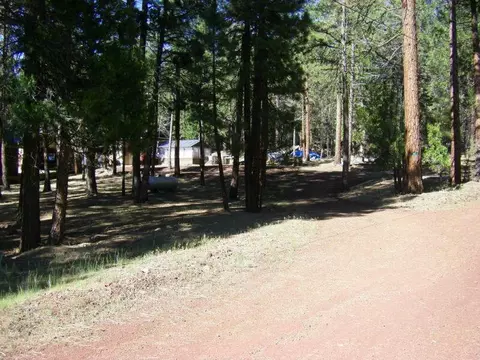 77 Timber Ln, Adin, CA 96006 photo 17