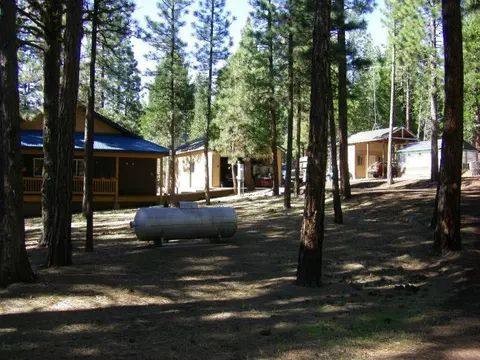 77 Timber Ln, Adin, CA 96006 photo 18