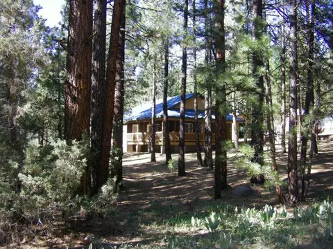 77 Timber Ln, Adin, CA 96006 photo 16