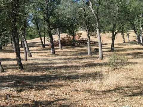 22441 Elk Trl, Redding, CA 96003 photo 12