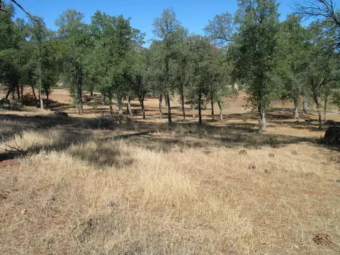 22441 Elk Trl, Redding, CA 96003 photo 11