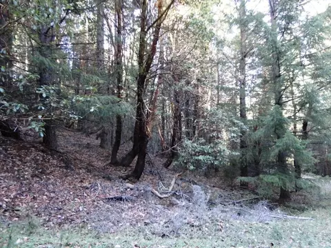 190 Scotten Trl, Hyampom, CA 96046 photo 1