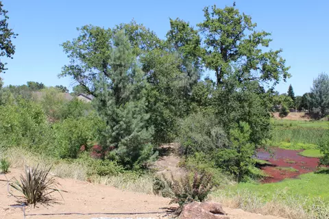 7271 Legacy Ct, Redding, CA 96001 photo 21