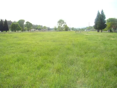 19555 Fairwind Dr, Anderson, CA 96007 photo 10