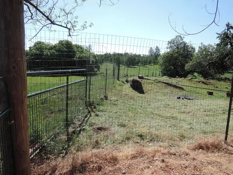 27723 Raspberry Ln, Oak Run, CA 96069 photo 22