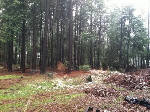 7150 Ravens Roost Rd, Shingletown, CA 96088 photo 2