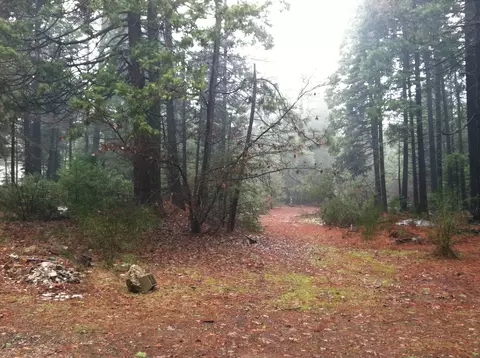 7150 Ravens Roost Rd, Shingletown, CA 96088 photo 8