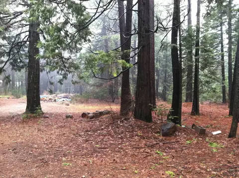 7150 Ravens Roost Rd, Shingletown, CA 96088 photo 6