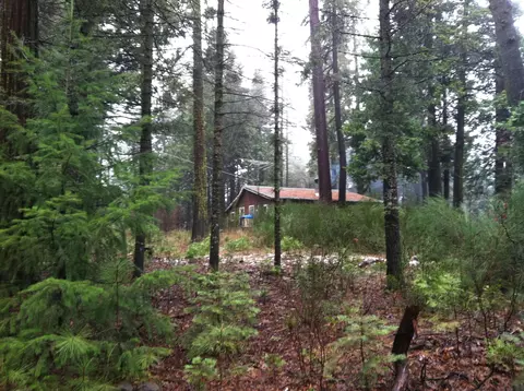 7150 Ravens Roost Rd, Shingletown, CA 96088 photo 4