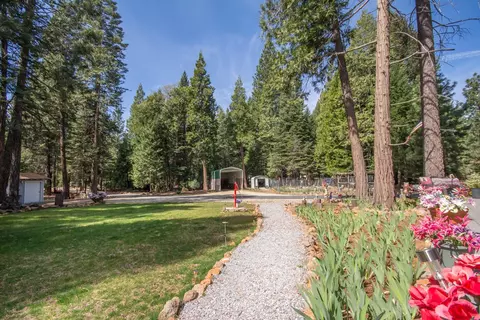 34692 Twilight Way, Shingletown, CA 96088 photo 16