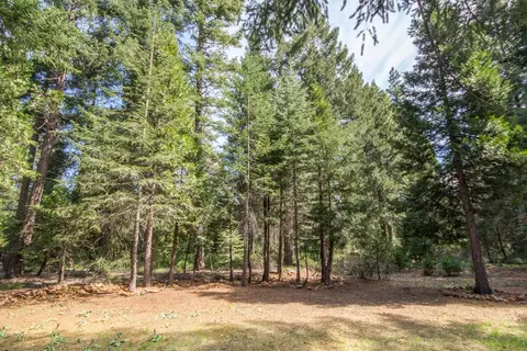 34692 Twilight Way, Shingletown, CA 96088 photo 18