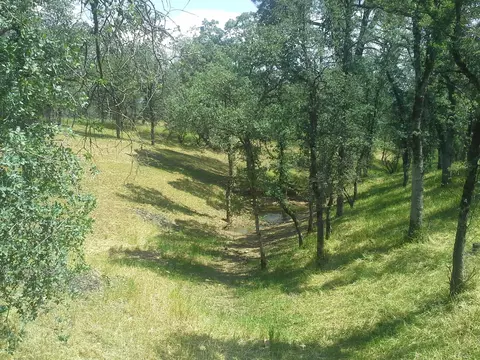 21489 Old 44 Dr, Redding, CA 96003 photo 25