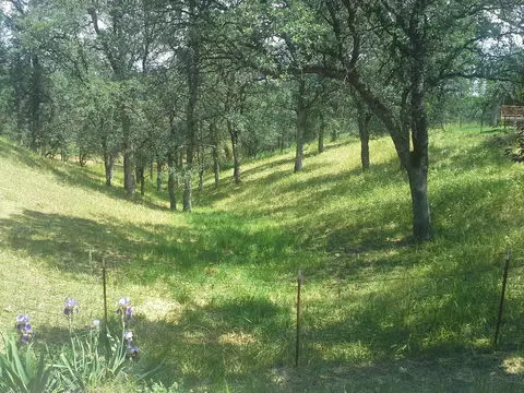 21489 Old 44 Dr, Redding, CA 96003 photo 16