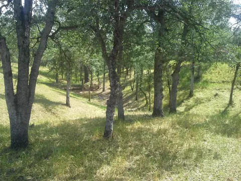 21489 Old 44 Dr, Redding, CA 96003 photo 26