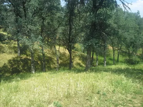 21489 Old 44 Dr, Redding, CA 96003 photo 12