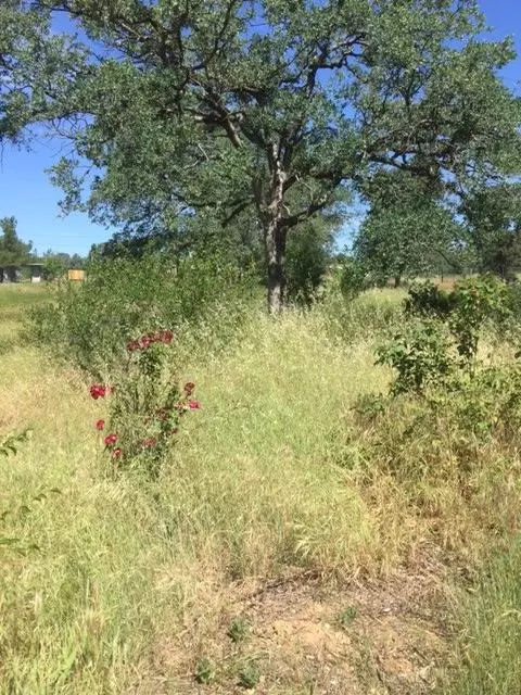 20083 Columbia Park Dr, Redding, CA 96003 photo 9