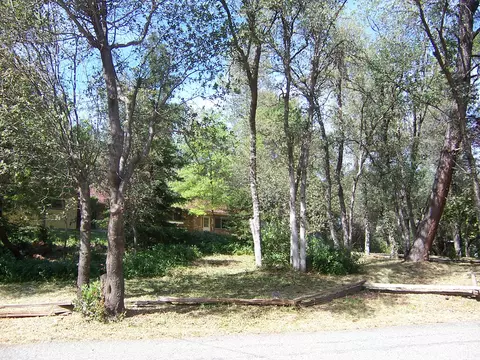 10101 Sandy Ln, Redding, CA 96001 photo 19