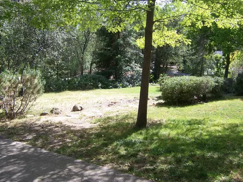 10101 Sandy Ln, Redding, CA 96001 photo 17