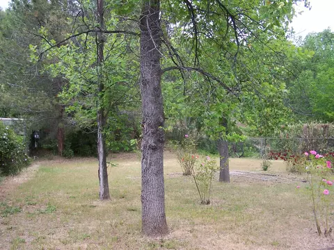3312 Harlan Dr, Redding, CA 96003 photo 6
