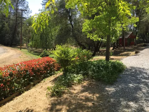 10100 Sandy Ln, Redding, CA 96001 photo 62