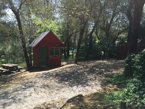 10100 Sandy Ln, Redding, CA 96001 photo 16