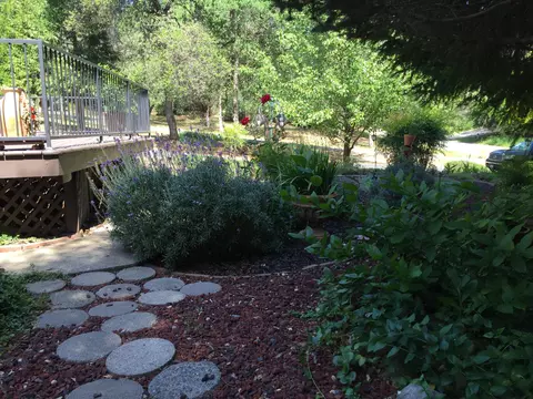 10100 Sandy Ln, Redding, CA 96001 photo 13