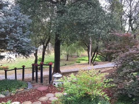 10100 Sandy Ln, Redding, CA 96001 photo 50