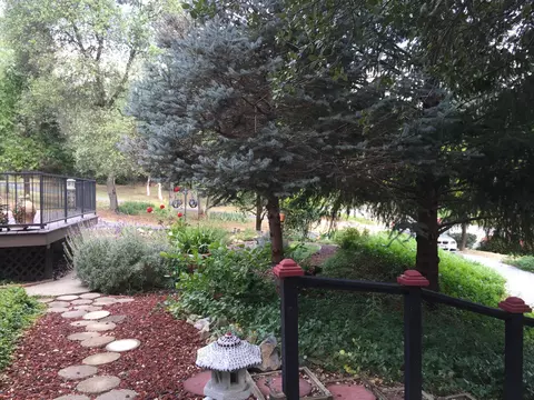 10100 Sandy Ln, Redding, CA 96001 photo 54