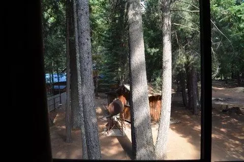 9386 Thatcher Mill Rd, Shingletown, CA 96088 photo 22