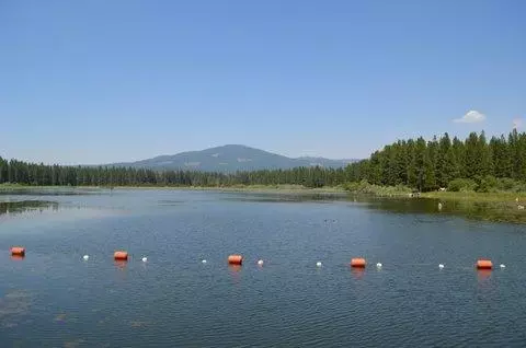 9386 Thatcher Mill Rd, Shingletown, CA 96088 photo 41