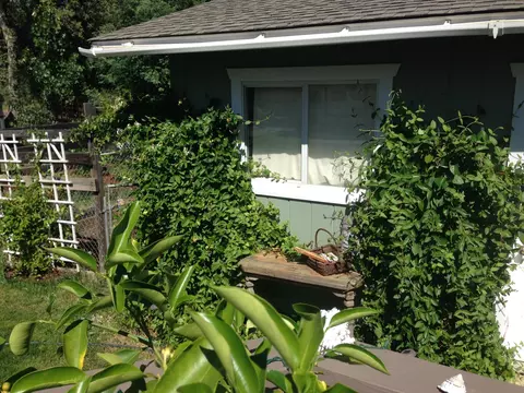 17692 Glenwood Dr, Redding, CA 96003 photo 20