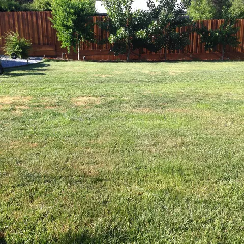 17692 Glenwood Dr, Redding, CA 96003 photo 23