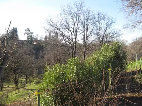 5923 Sierra Dr, Redding, CA 96003 photo 18