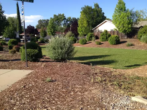 1013 Monterra Ln, Redding, CA 96002 photo 19