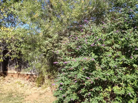 1013 Monterra Ln, Redding, CA 96002 photo 6