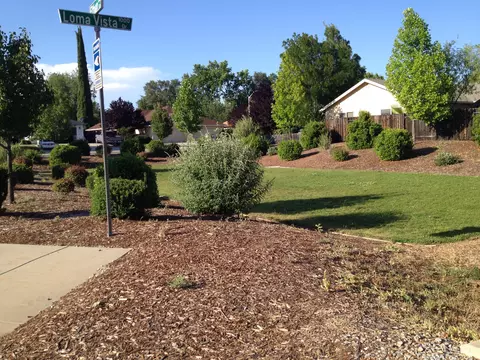 1013 Monterra Ln, Redding, CA 96002 photo 18