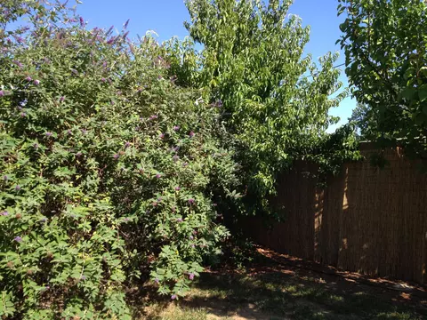 1013 Monterra Ln, Redding, CA 96002 photo 7