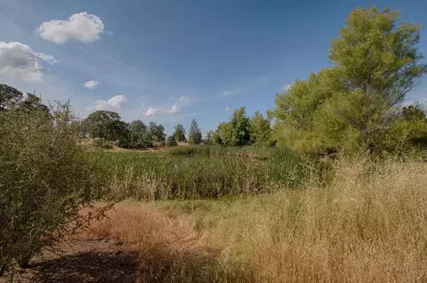 10150 Abernathy Ln, Redding, CA 96003 photo 23