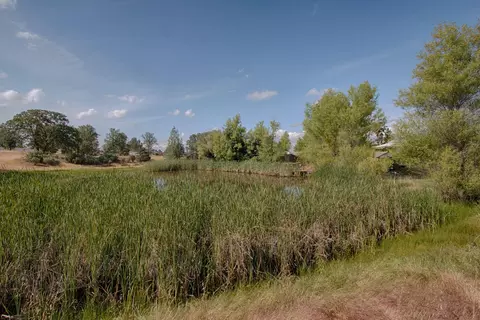 10150 Abernathy Ln, Redding, CA 96003 photo 24