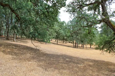 13585 Creek Trl, Redding, CA 96003 photo 21