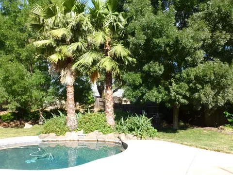 4879 Fiddleneck, Redding, CA 96002 photo 49