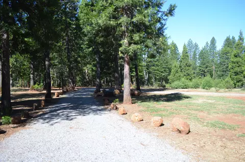 8111 Doodlebug Ln, Shingletown, CA 96088 photo 32