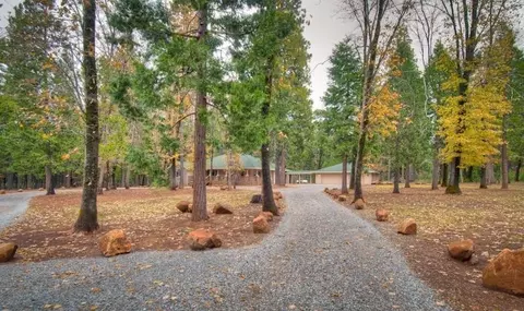8111 Doodlebug Ln, Shingletown, CA 96088 photo 33